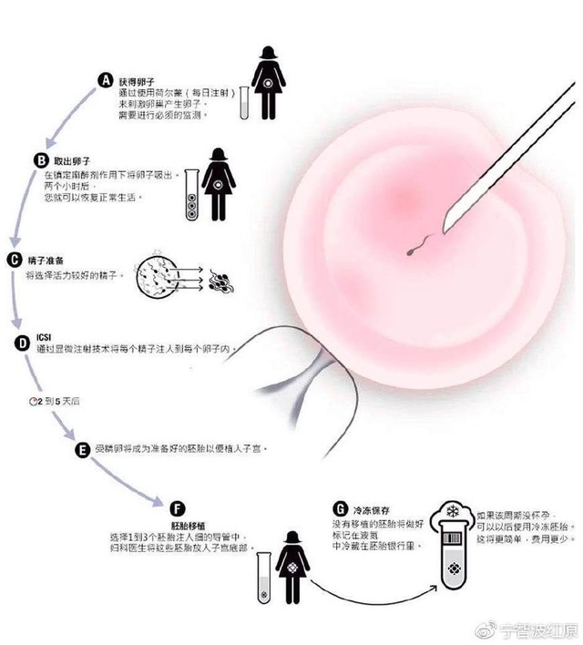怀孕多久能验出来
