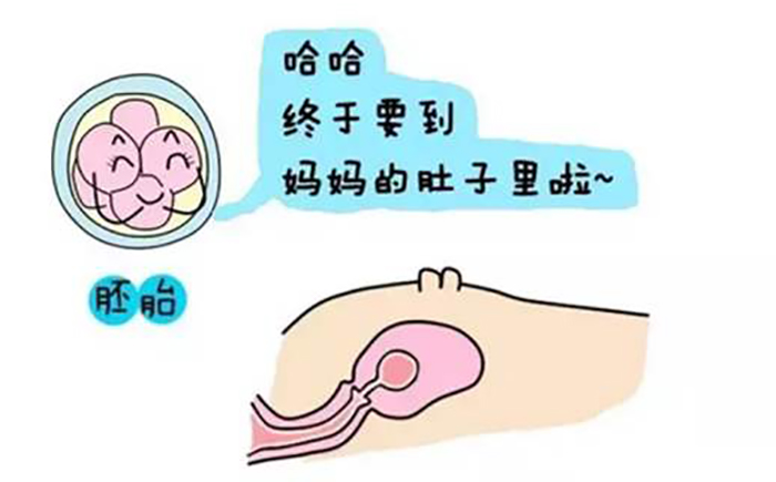 生男生女计算