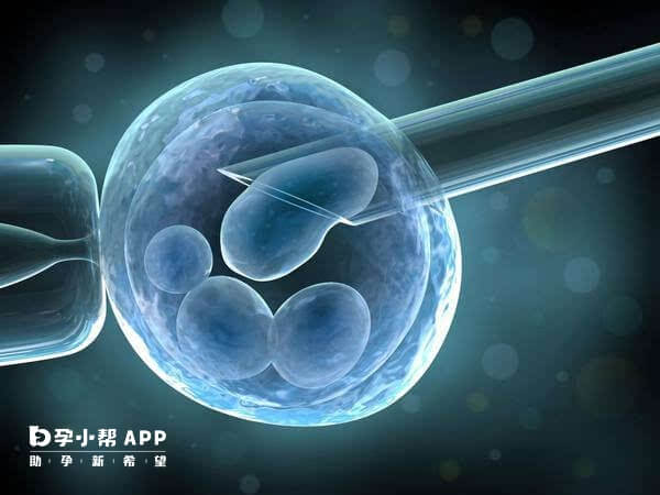 女性生理周期