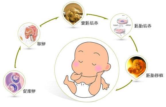 月经刚走