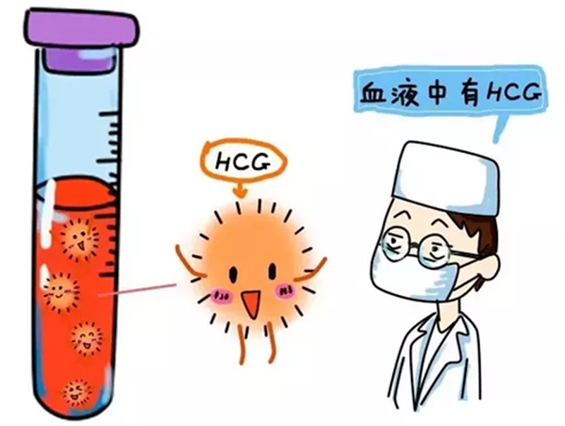 月经刚走