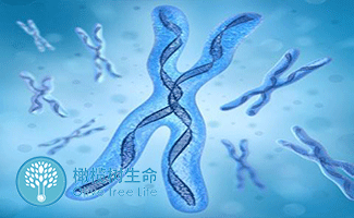 月经刚结束