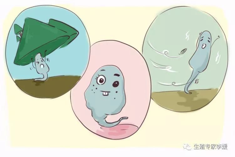 月经周期