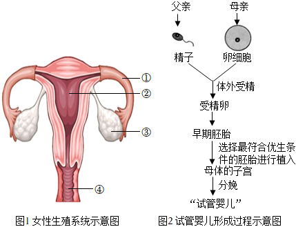 不育不孕