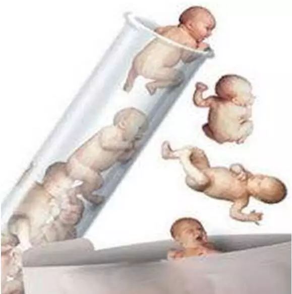 不育不孕