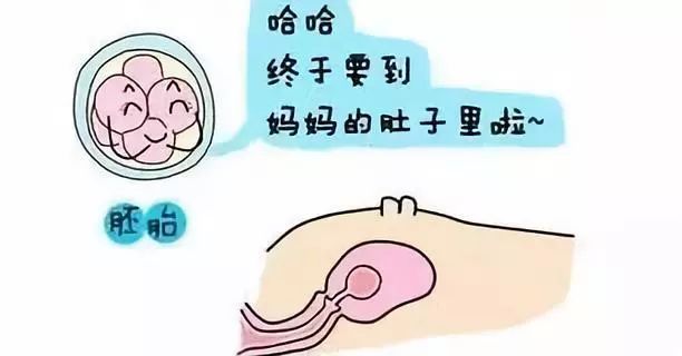 不孕不孕症